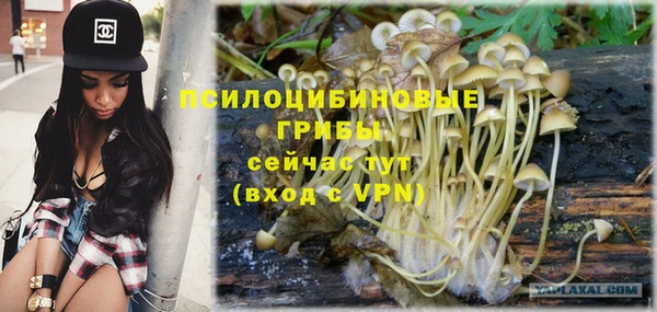 твердый Белоозёрский