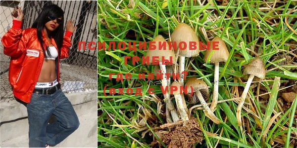 ПСИЛОЦИБИНОВЫЕ ГРИБЫ Балахна