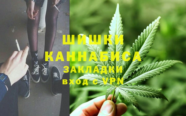 Альфа ПВП Белокуриха