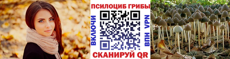 Псилоцибиновые грибы прущие грибы  хочу   Калуга 